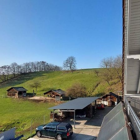 Grosse Tolle 4 Zimmer Ferienwohnung Im Herzen Des Odenwaldes Mörlenbach Exteriér fotografie