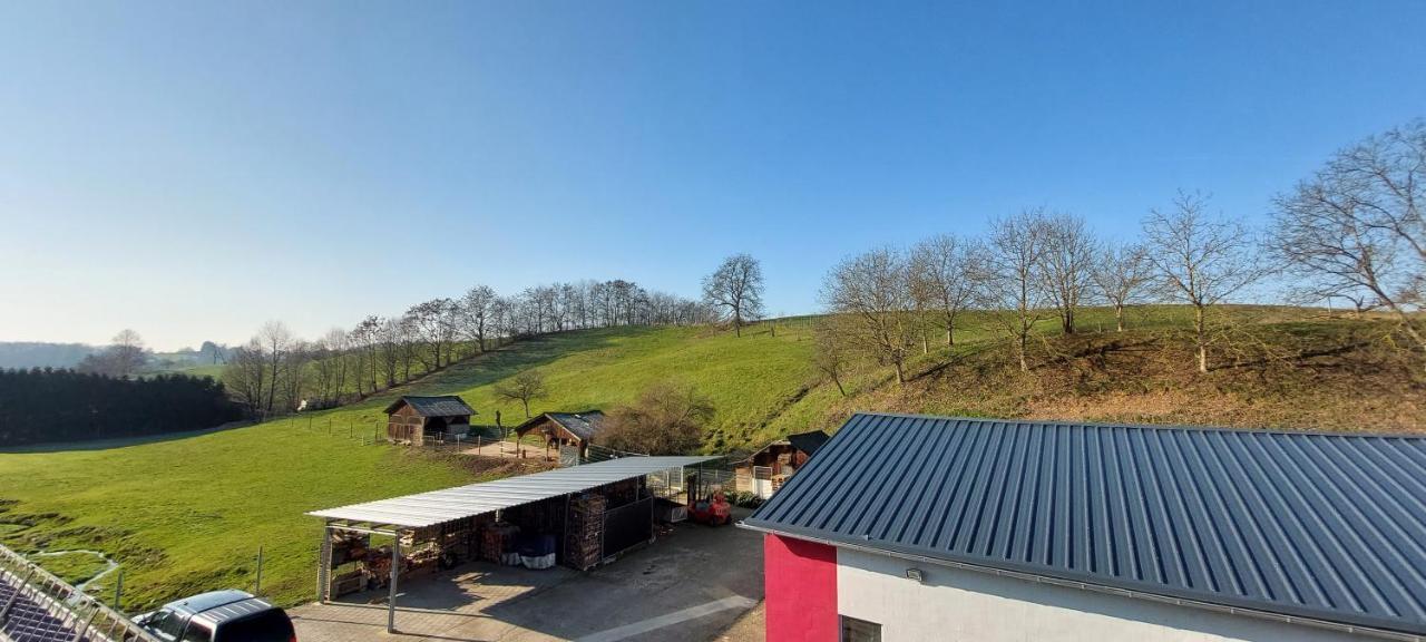 Grosse Tolle 4 Zimmer Ferienwohnung Im Herzen Des Odenwaldes Mörlenbach Exteriér fotografie