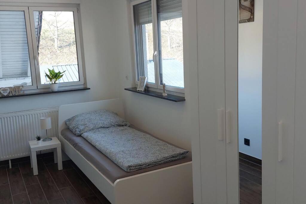 Grosse Tolle 4 Zimmer Ferienwohnung Im Herzen Des Odenwaldes Mörlenbach Exteriér fotografie