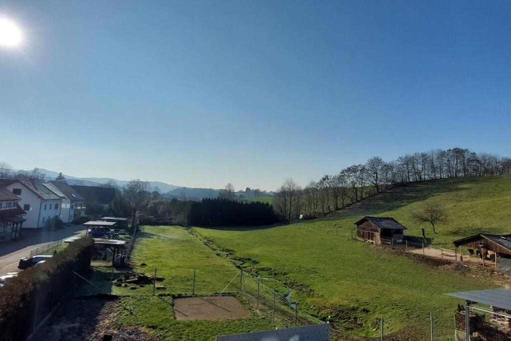 Grosse Tolle 4 Zimmer Ferienwohnung Im Herzen Des Odenwaldes Mörlenbach Exteriér fotografie