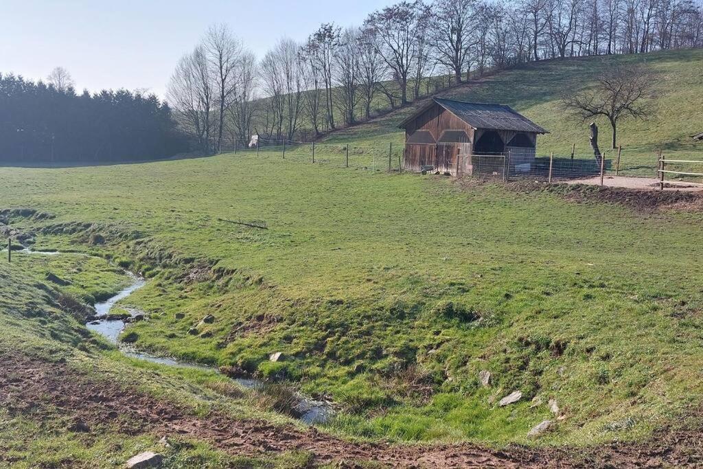 Grosse Tolle 4 Zimmer Ferienwohnung Im Herzen Des Odenwaldes Mörlenbach Exteriér fotografie