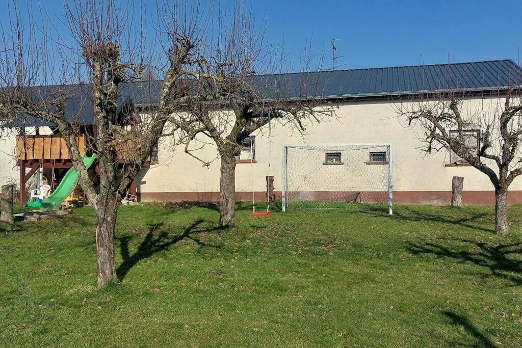 Grosse Tolle 4 Zimmer Ferienwohnung Im Herzen Des Odenwaldes Mörlenbach Exteriér fotografie