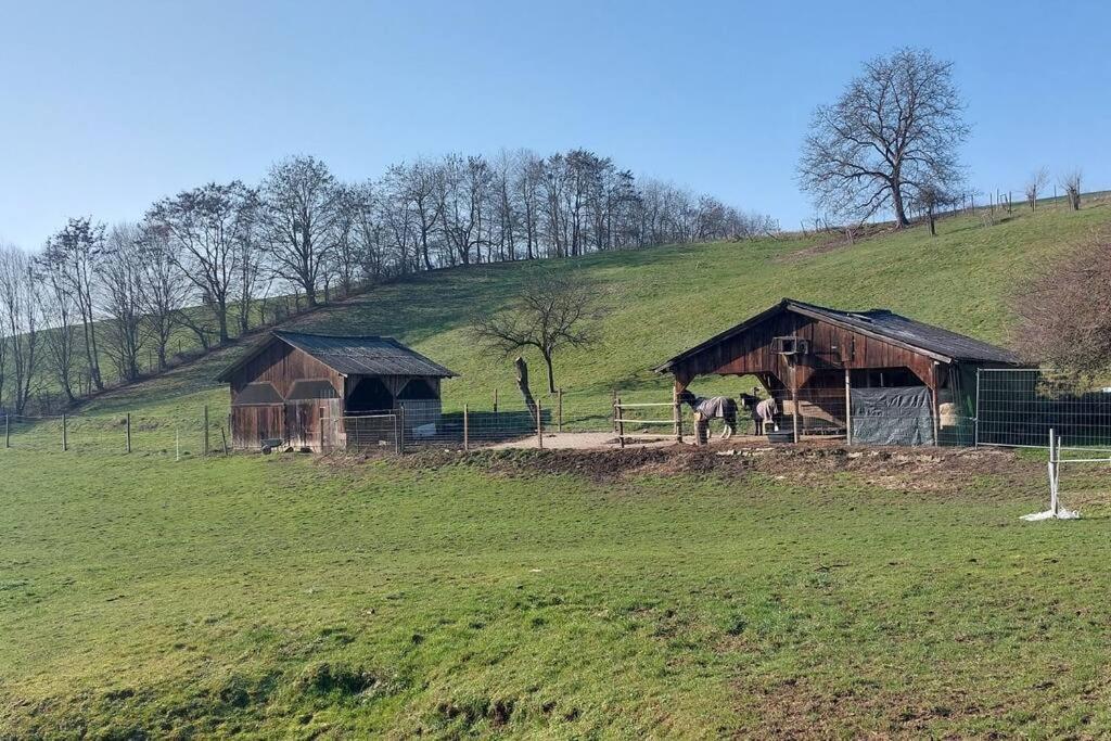 Grosse Tolle 4 Zimmer Ferienwohnung Im Herzen Des Odenwaldes Mörlenbach Exteriér fotografie