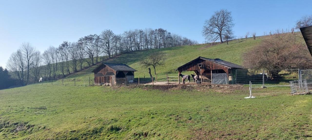 Grosse Tolle 4 Zimmer Ferienwohnung Im Herzen Des Odenwaldes Mörlenbach Exteriér fotografie