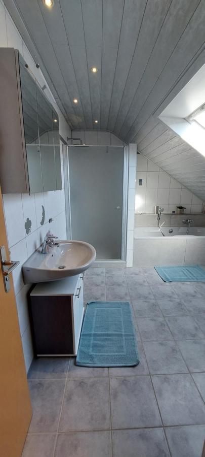Grosse Tolle 4 Zimmer Ferienwohnung Im Herzen Des Odenwaldes Mörlenbach Exteriér fotografie